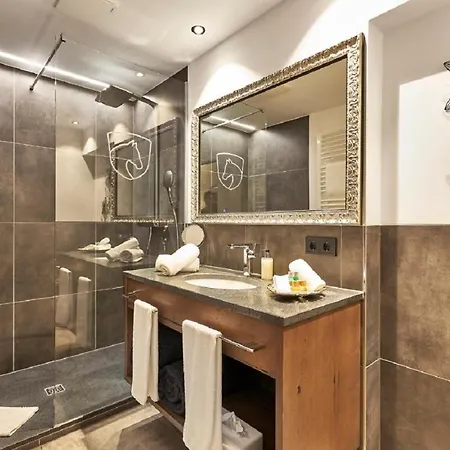 Apartament Rosserers Ferienwohnung & Lofts Bodenmais